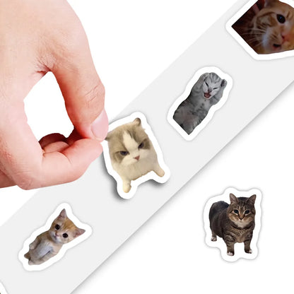 Cute Cat Stickers Collection