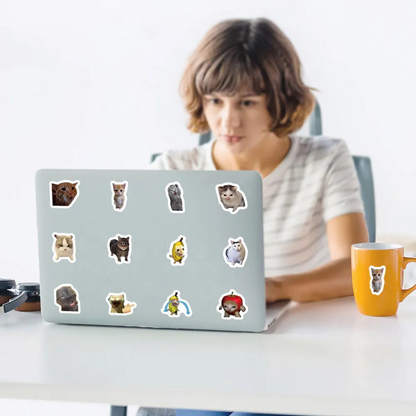 Cute Cat Stickers Collection